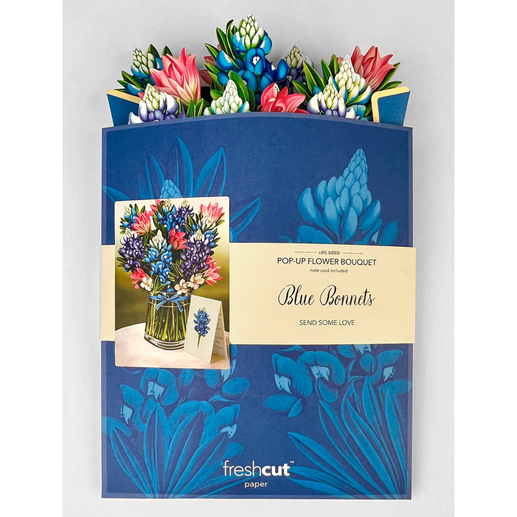 FreshCut Paper Blue Bonnets Pop Up Bouquet