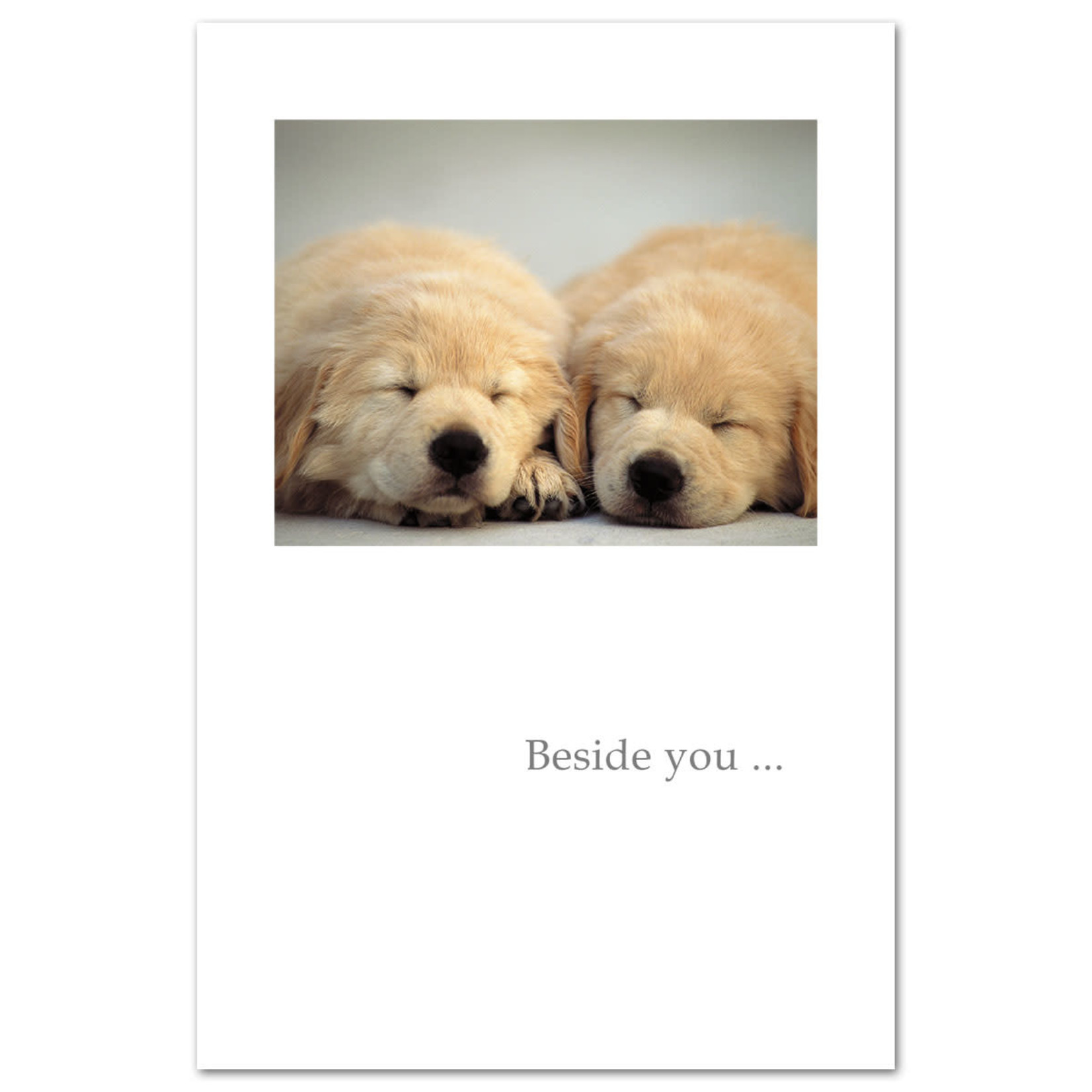Cardthartic Beside You...