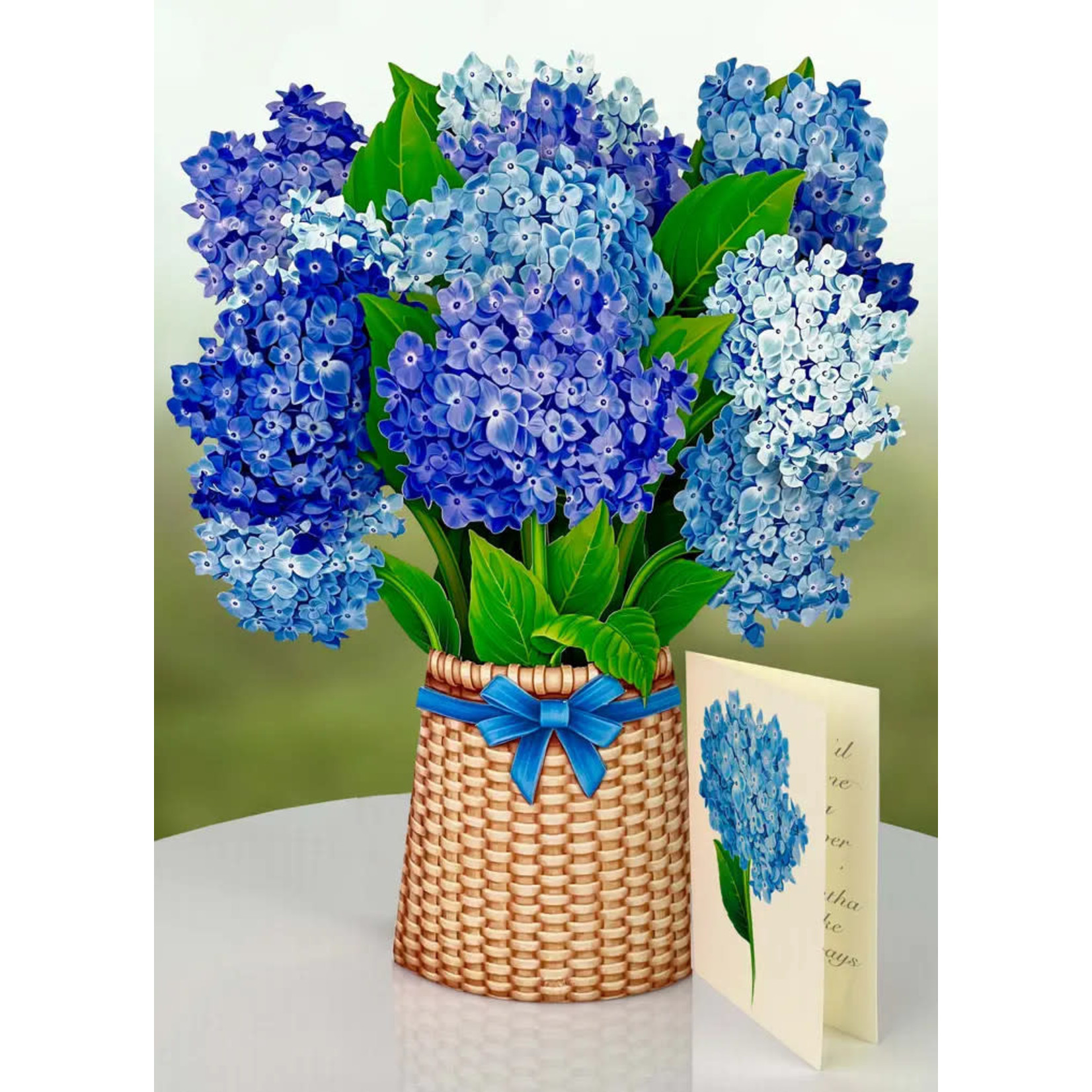 FreshCut Paper Nantucket Hydrangeas Pop Up  Bouquet
