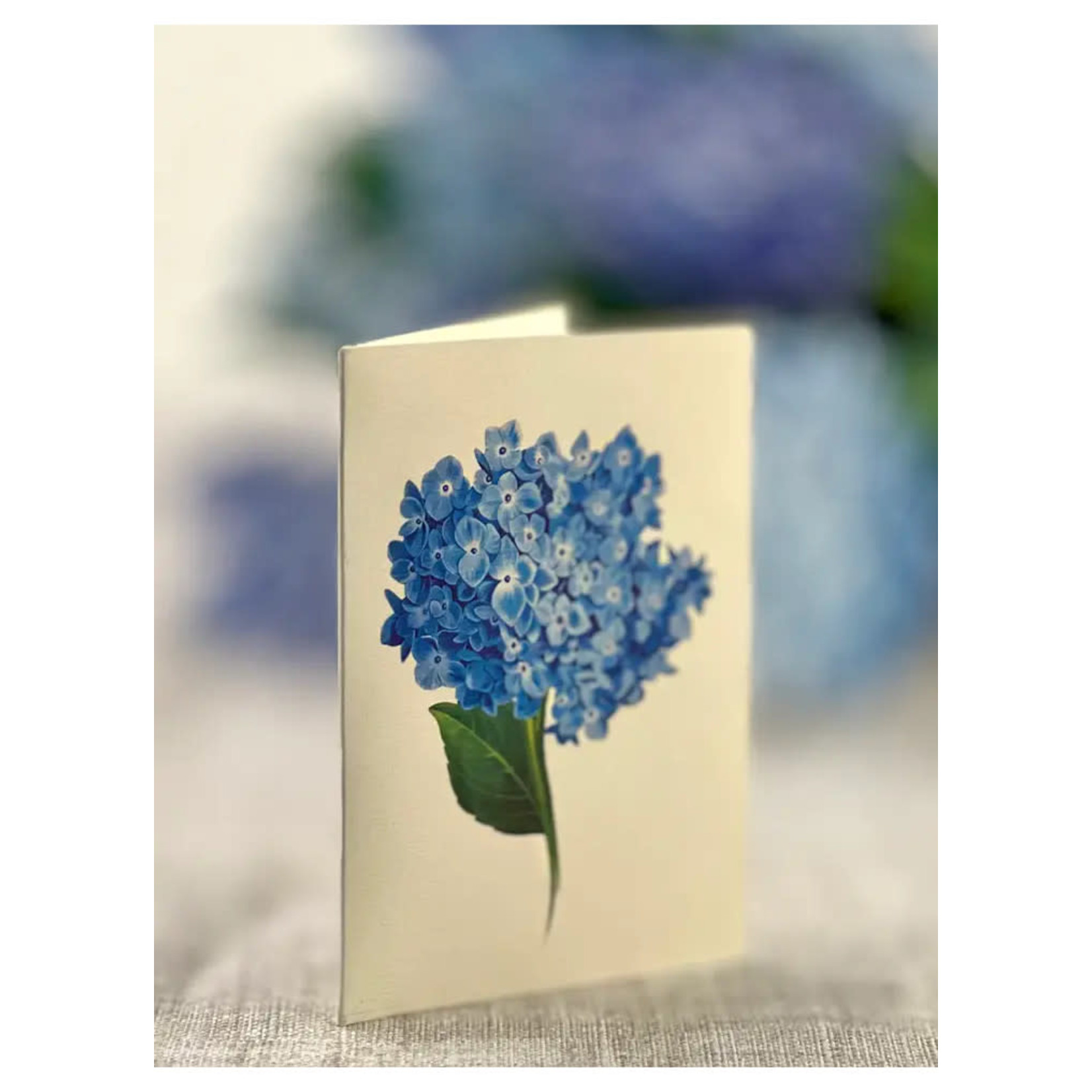 FreshCut Paper Nantucket Hydrangeas Pop Up  Bouquet