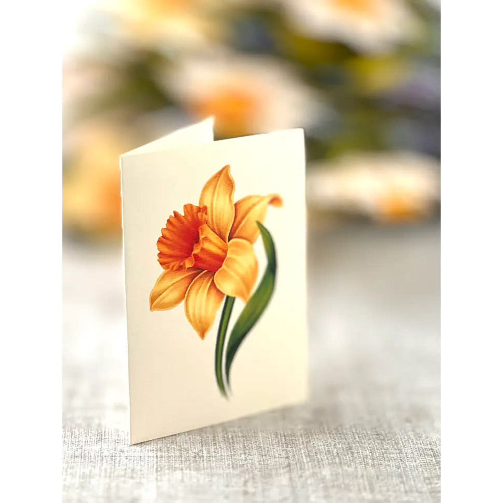 FreshCut Paper English Daffodils Pop Up Bouquet