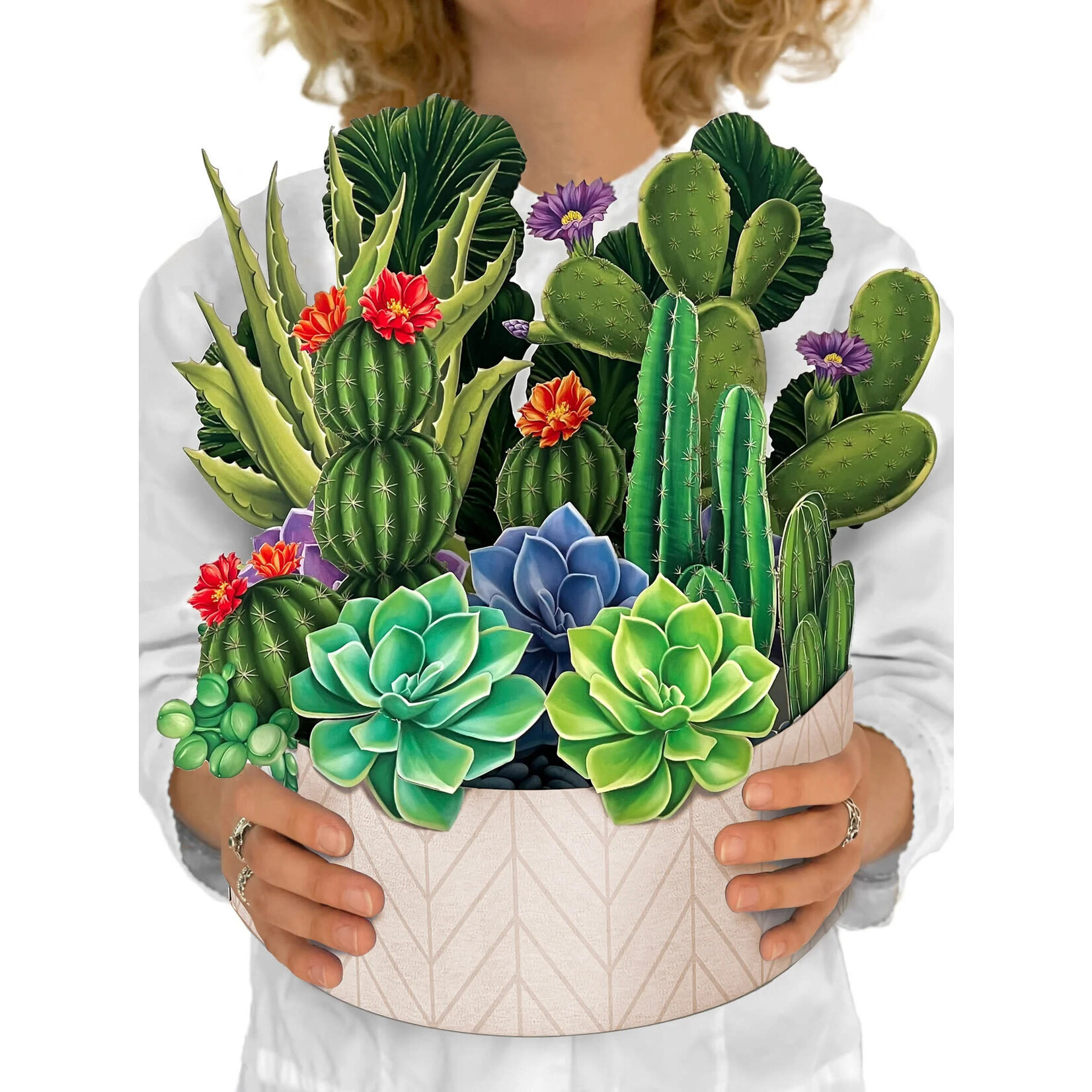 Freshcut Paper Cactus Garden Paper Bouquet