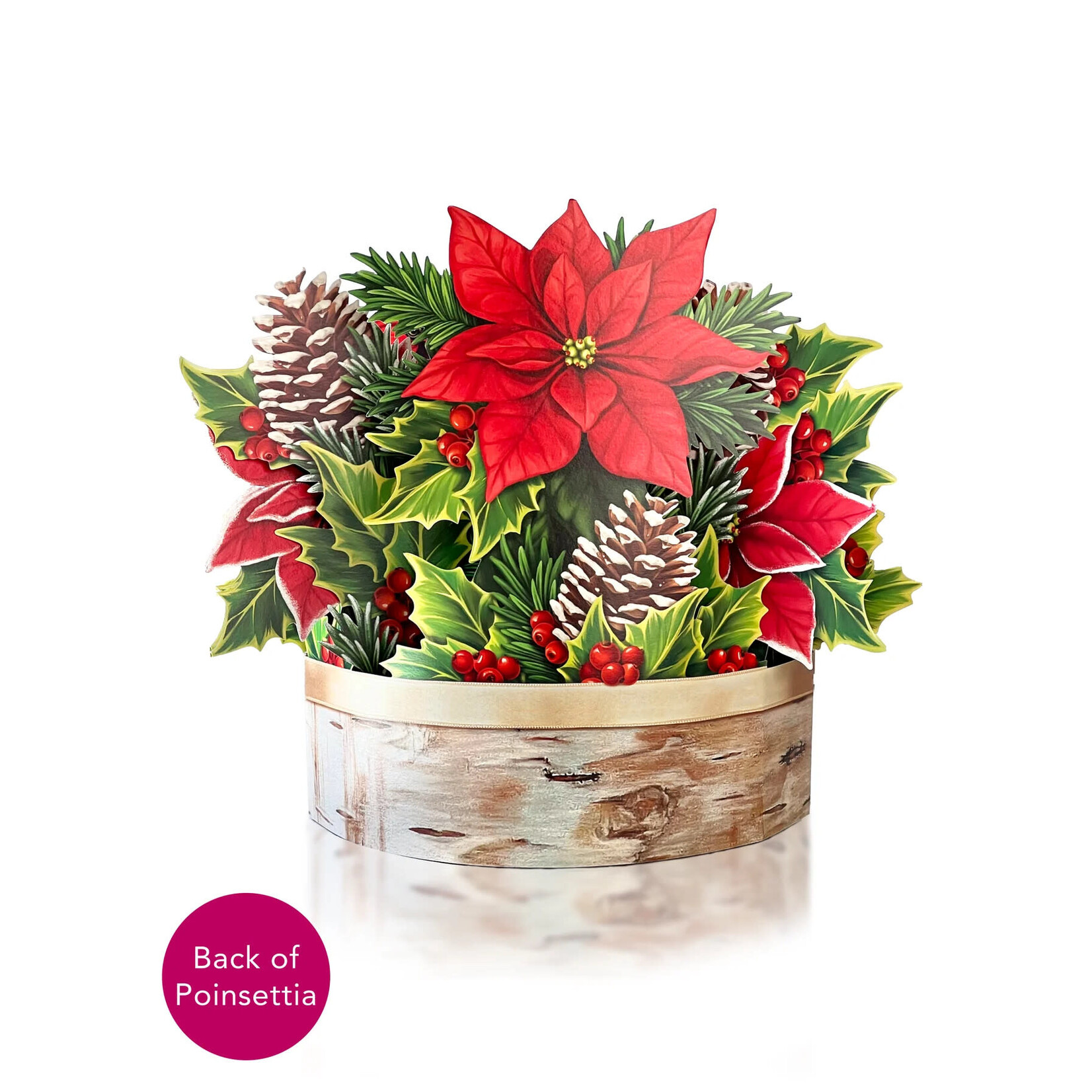 Freshcut Paper Birch Poinsettia Pop Up Bouquet