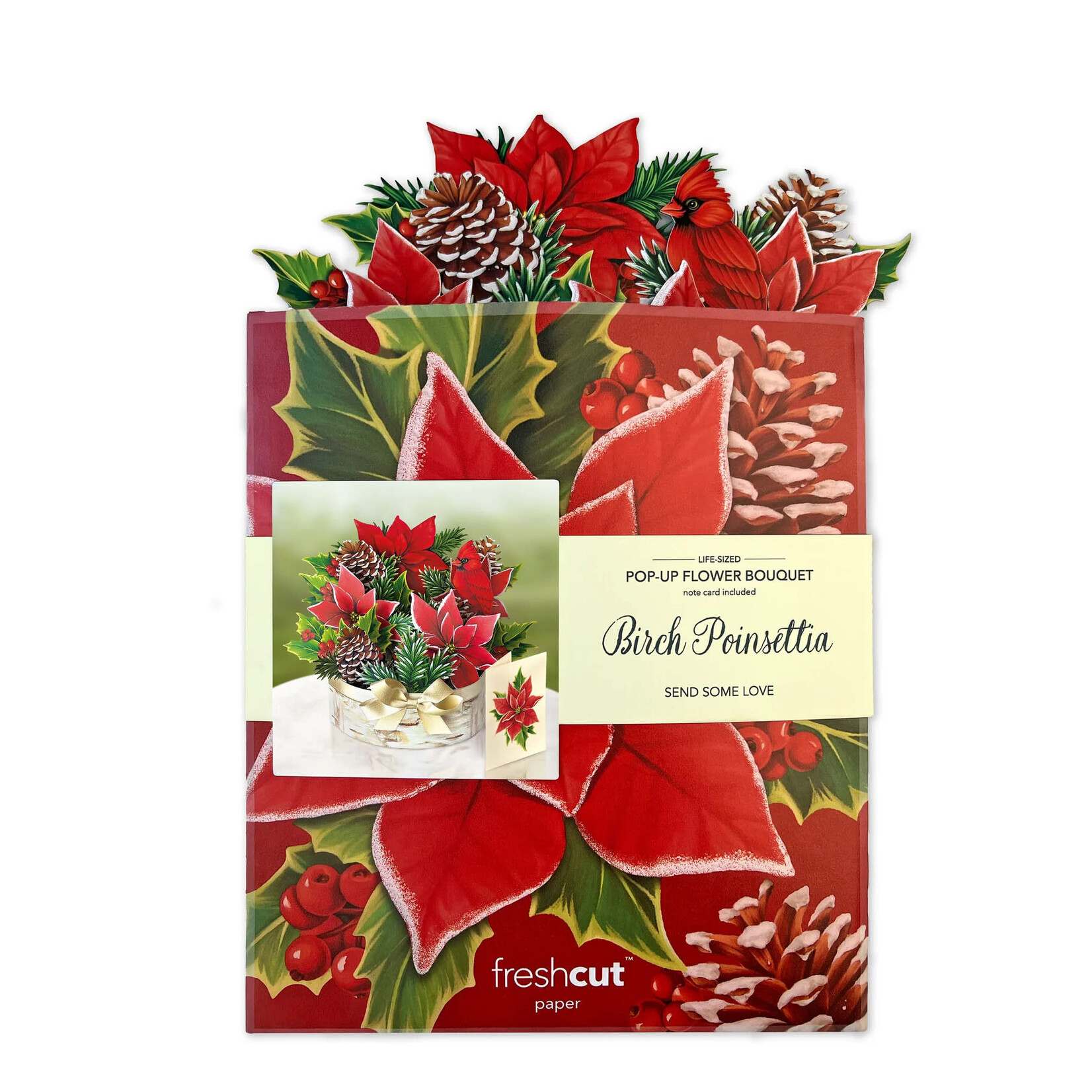 Freshcut Paper Birch Poinsettia Pop Up Bouquet