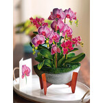 Freshcut Paper Orchid Oasis Pop Up Bouquet