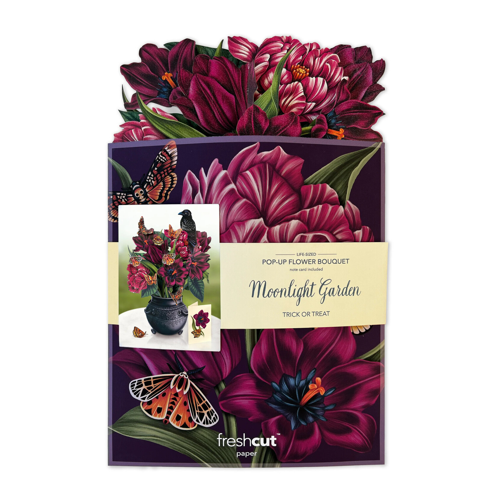 FreshCut Paper Moonlight Garden Pop Up Bouquet