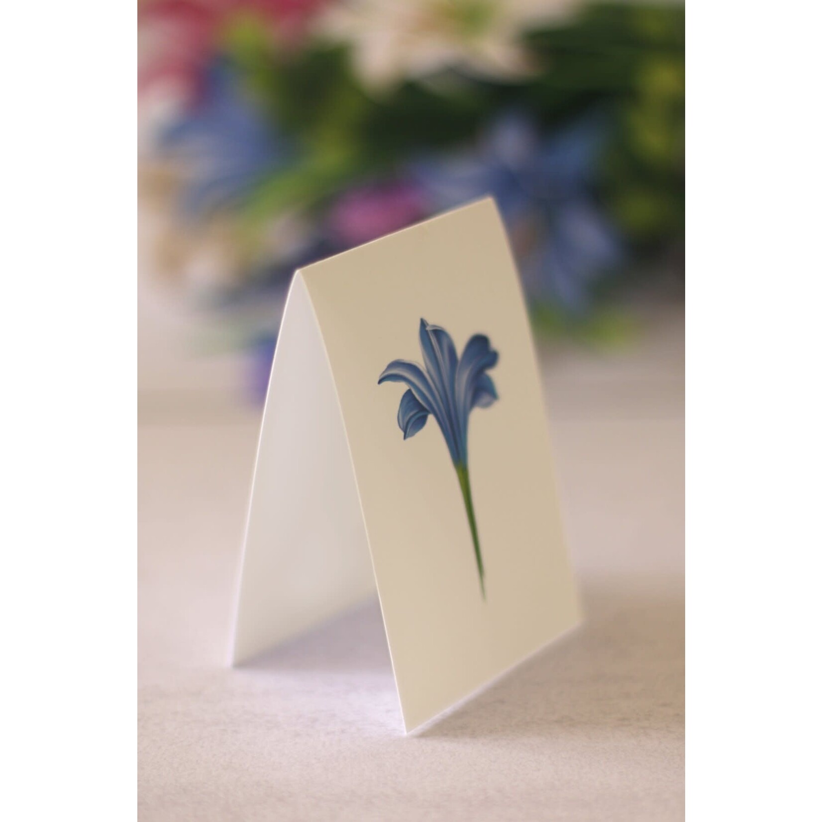 FreshCut Paper Lilies & Lupines Pop Up Bouquet