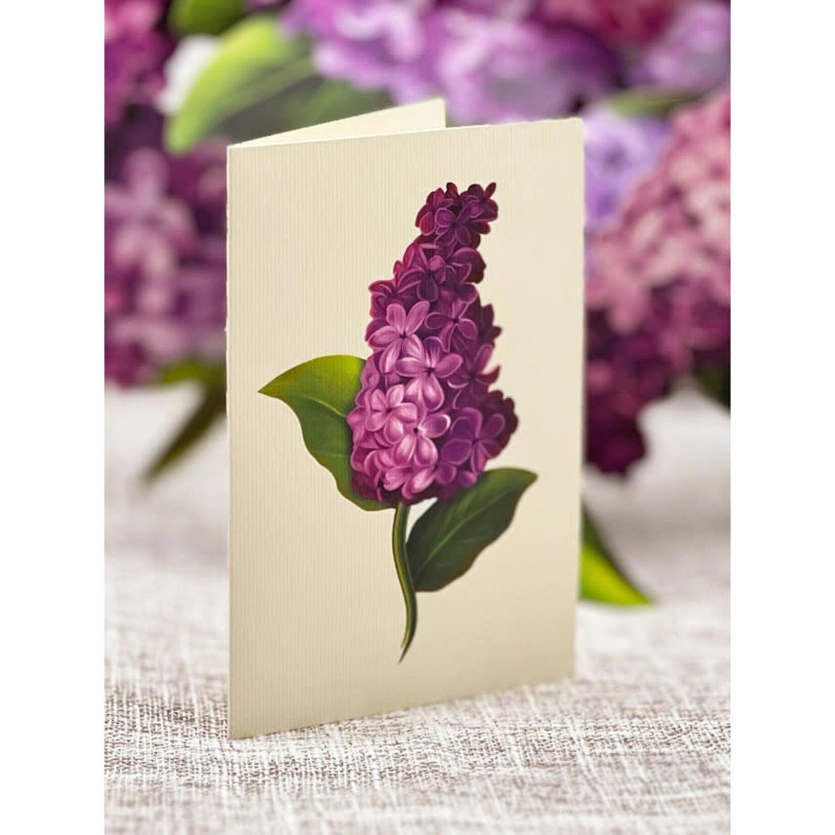 FreshCut Paper Garden Lilacs Pop Up Bouquet