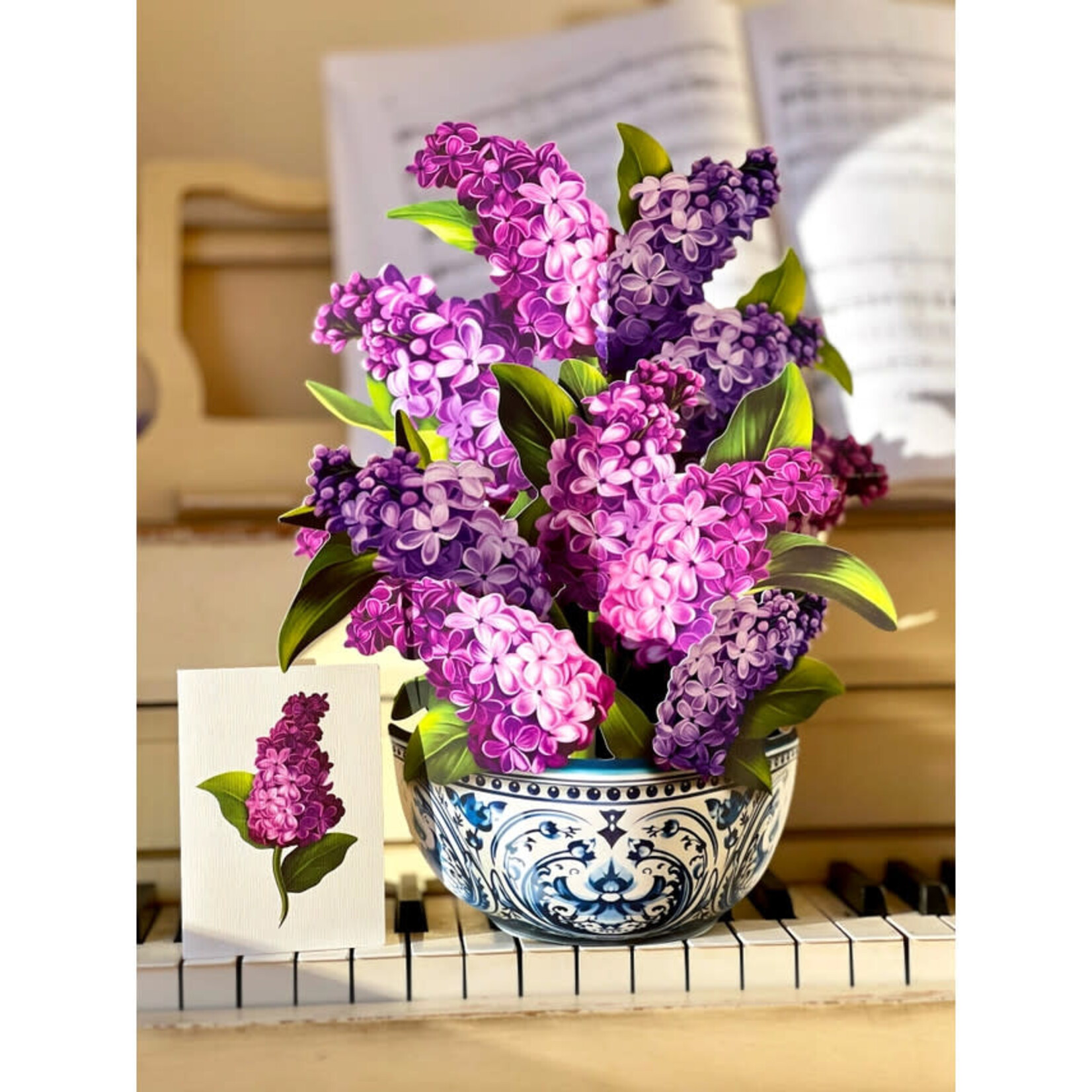 FreshCut Paper Garden Lilacs Pop Up Bouquet