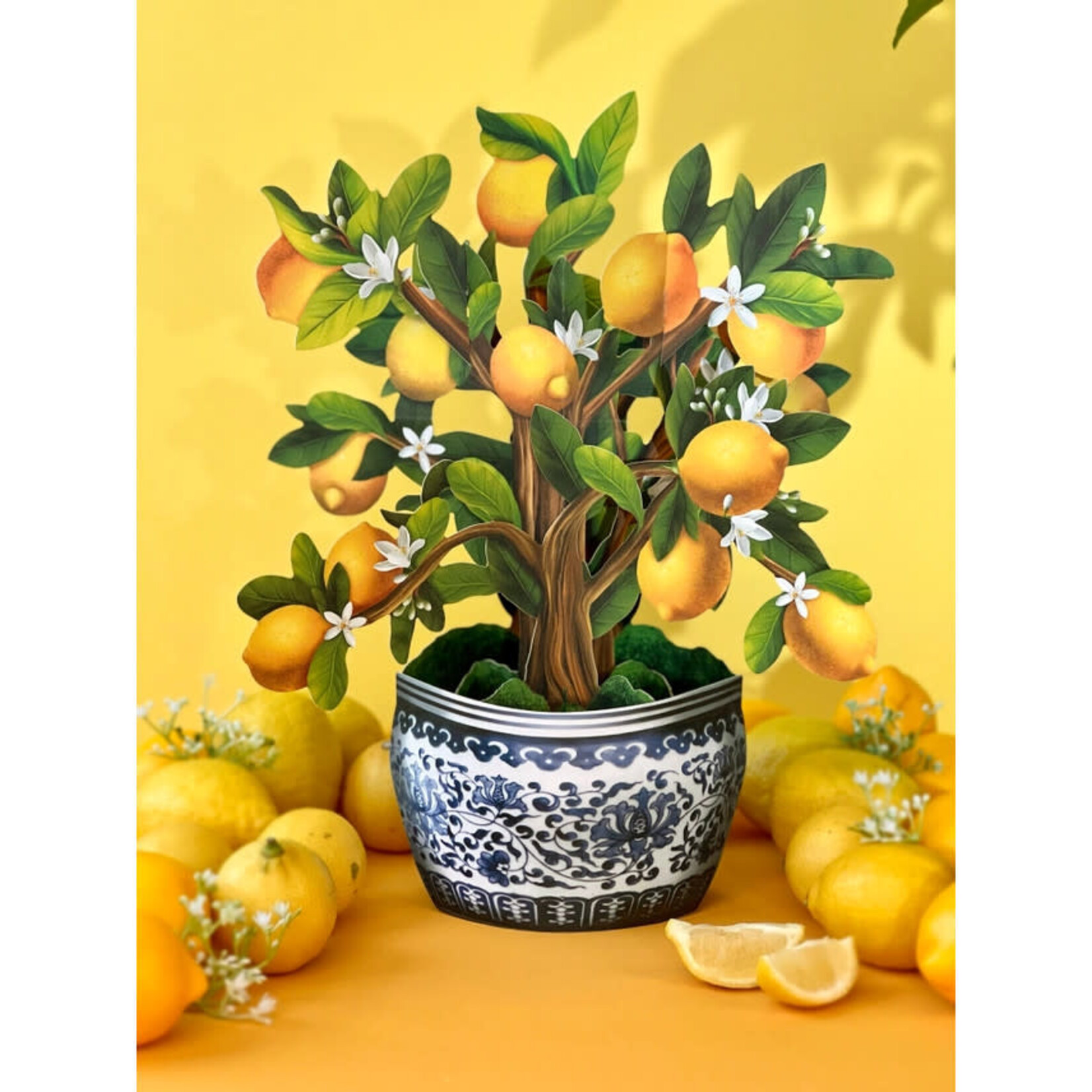 FreshCut Paper Lemon Blossom Tree Pop Up Potted Plant