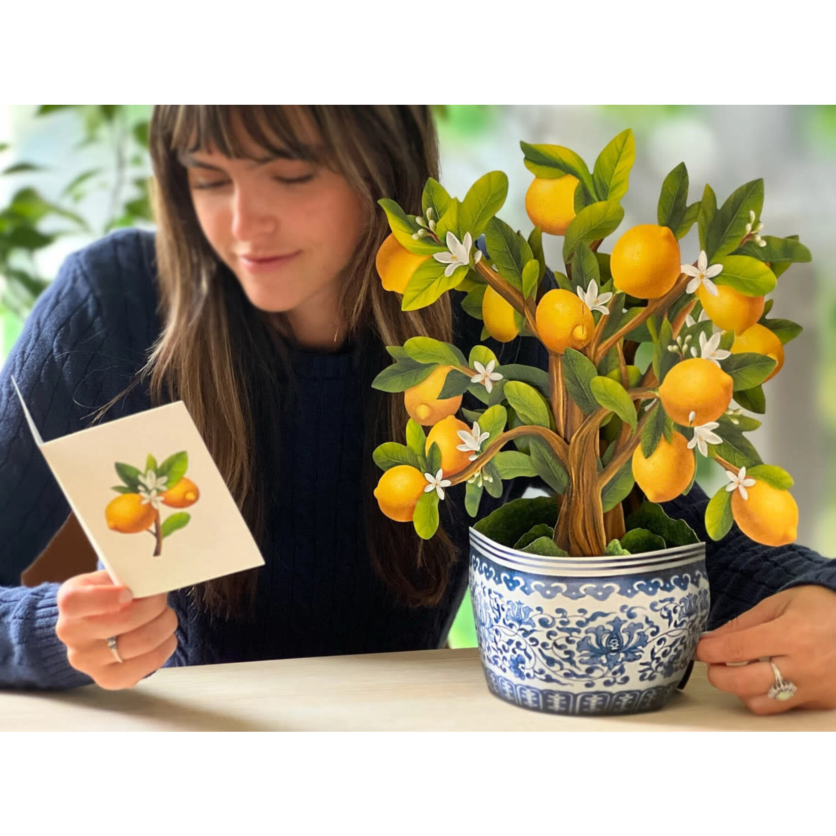 FreshCut Paper Lemon Blossom Tree Pop Up Potted Plant