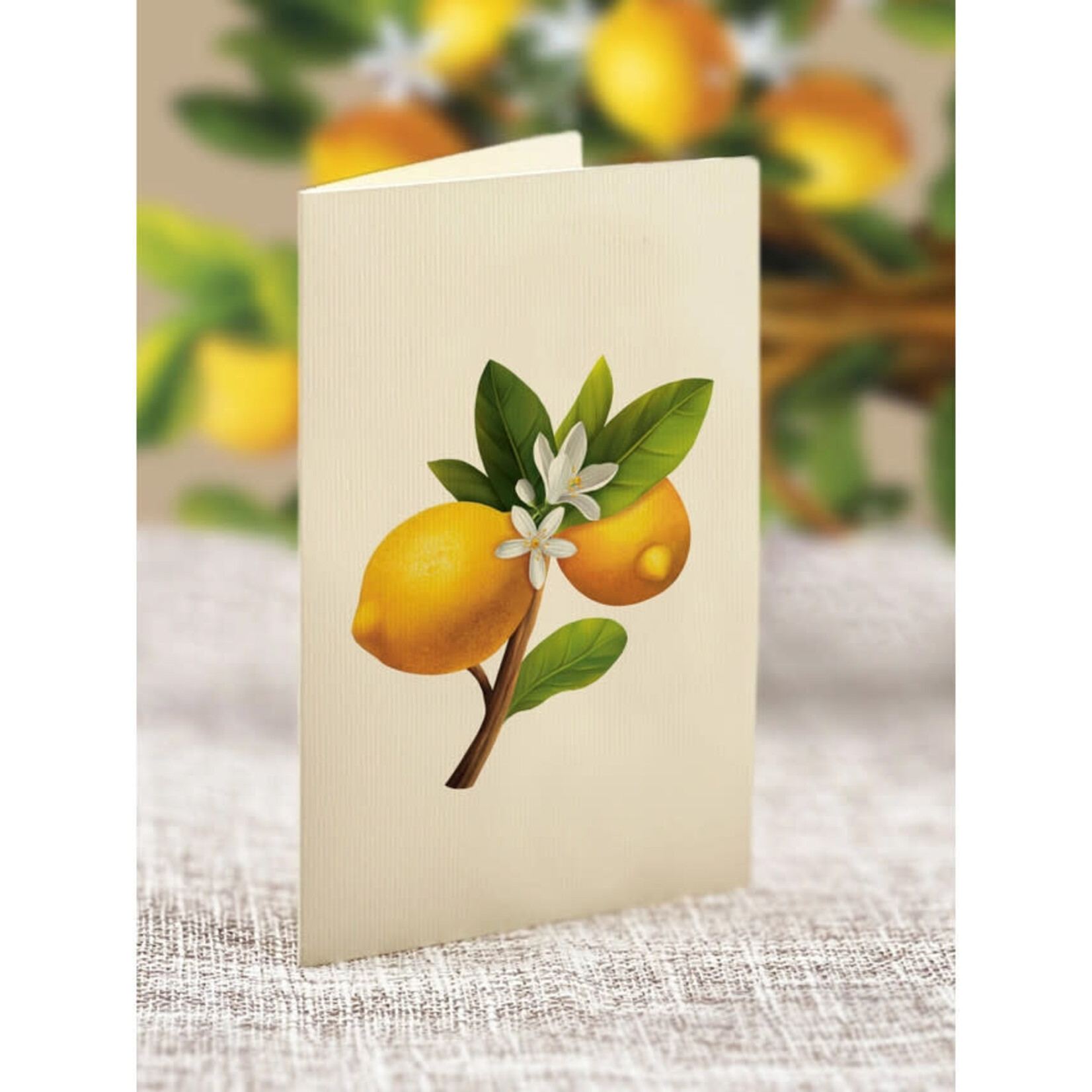 FreshCut Paper Lemon Blossom Tree Pop Up Potted Plant