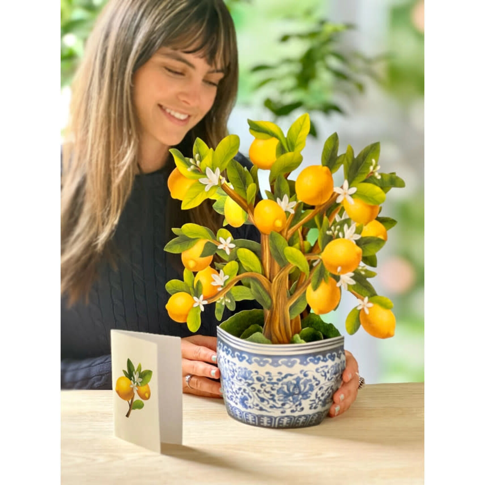 FreshCut Paper Lemon Blossom Tree Pop Up Potted Plant