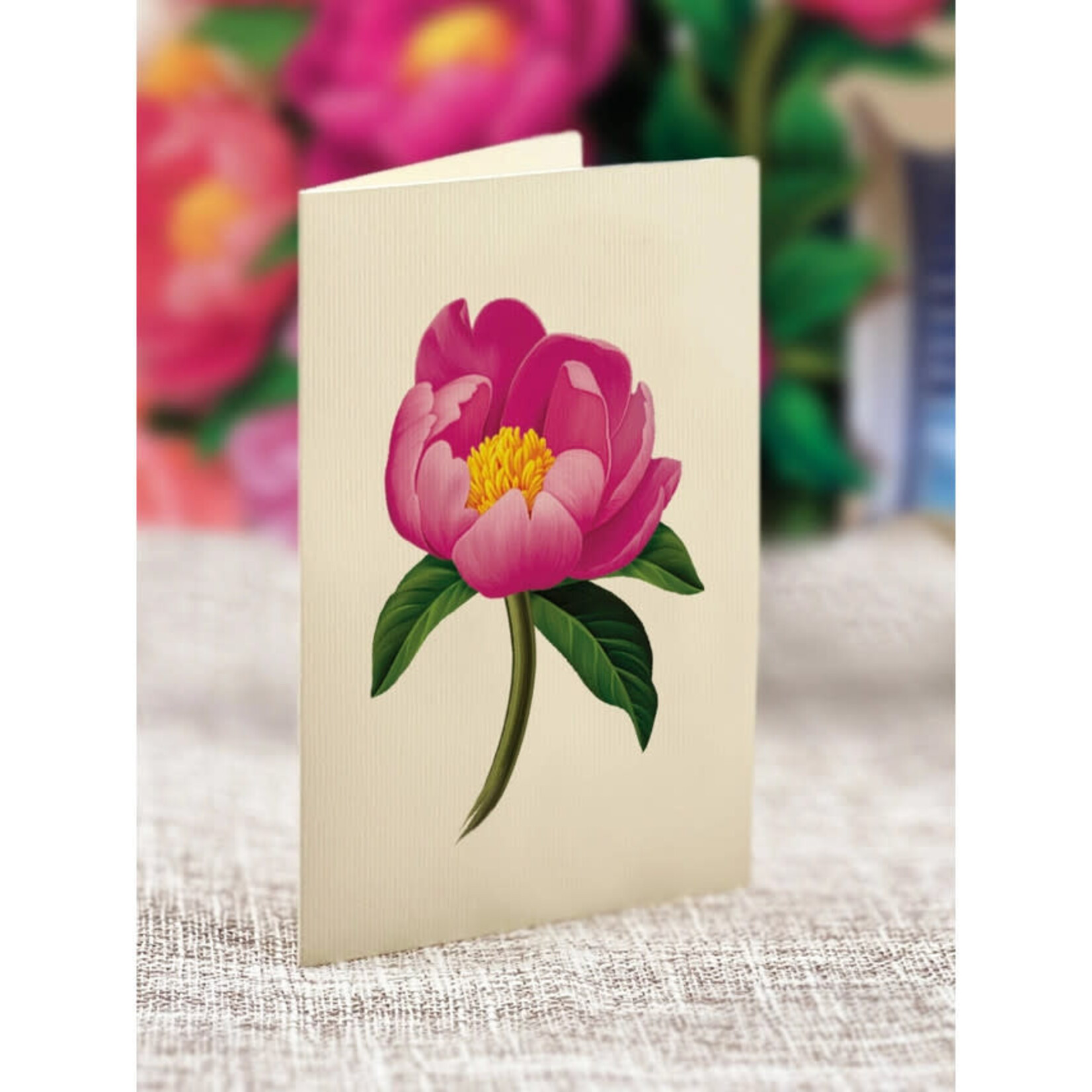 FreshCut Paper Peony Paradise Pop Up Bouquet