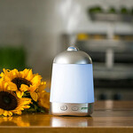 Greenair Spa Vapor Oil Diffuser