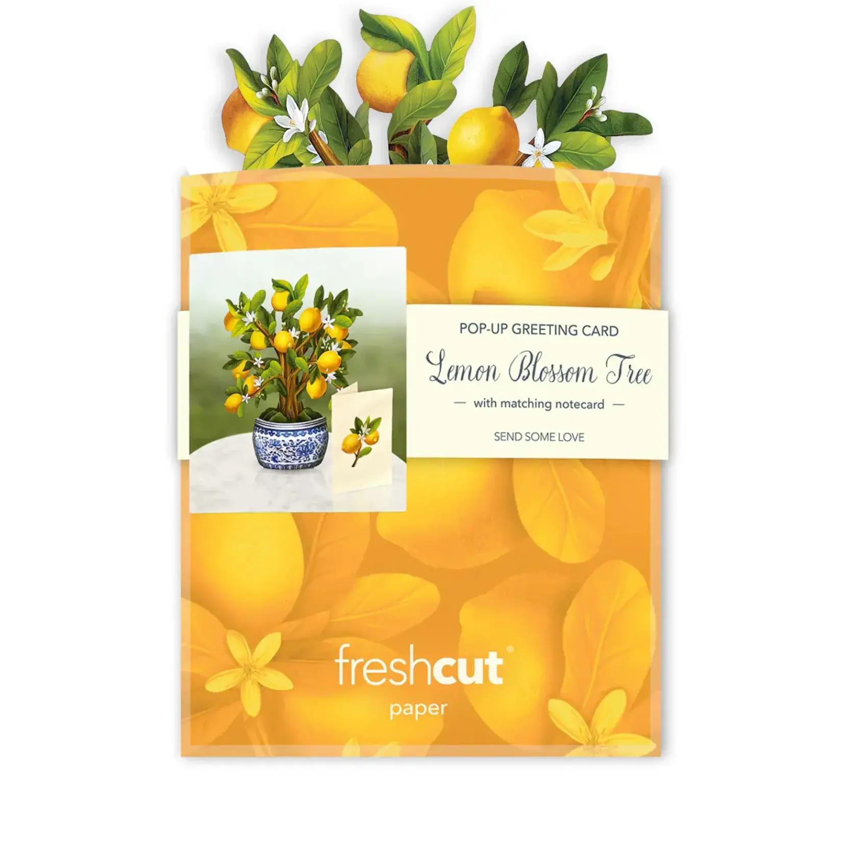 Freshcut Paper Mini Lemon Blossom Pop Up Tree