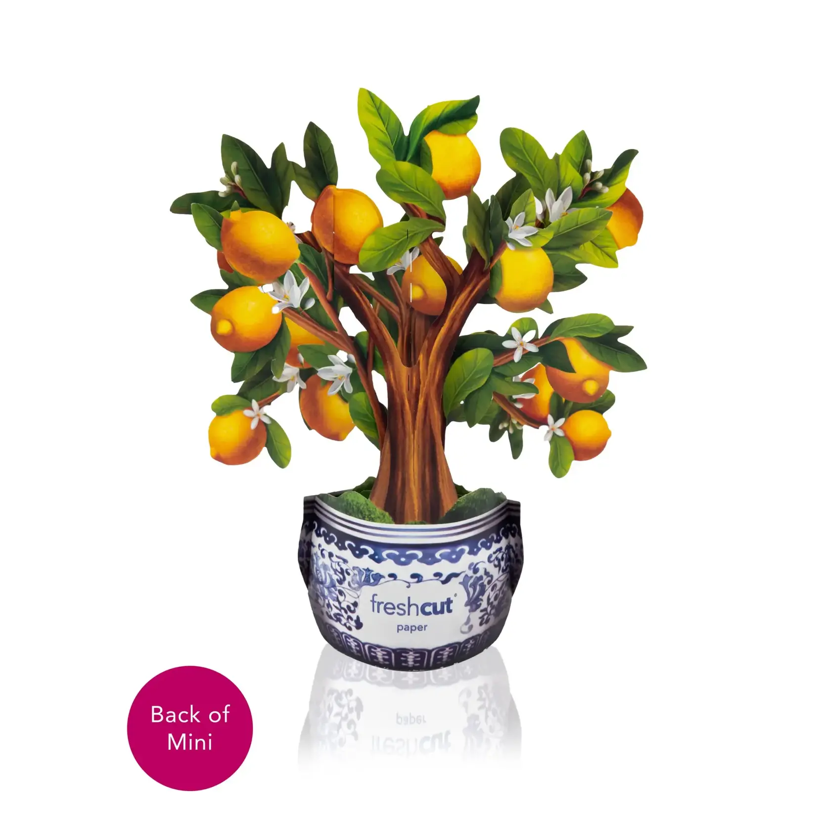 Freshcut Paper Mini Lemon Blossom Pop Up Tree