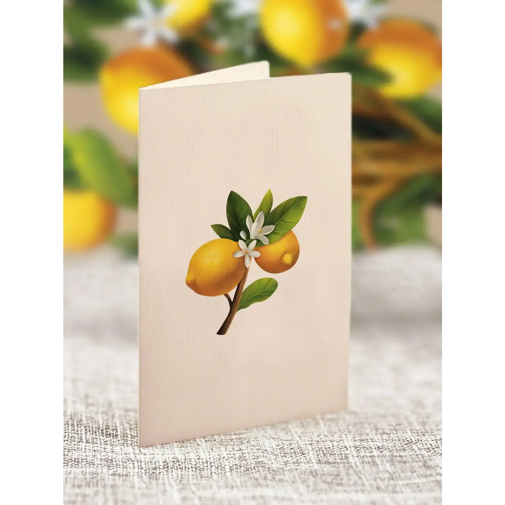 Freshcut Paper Mini Lemon Blossom Pop Up Tree