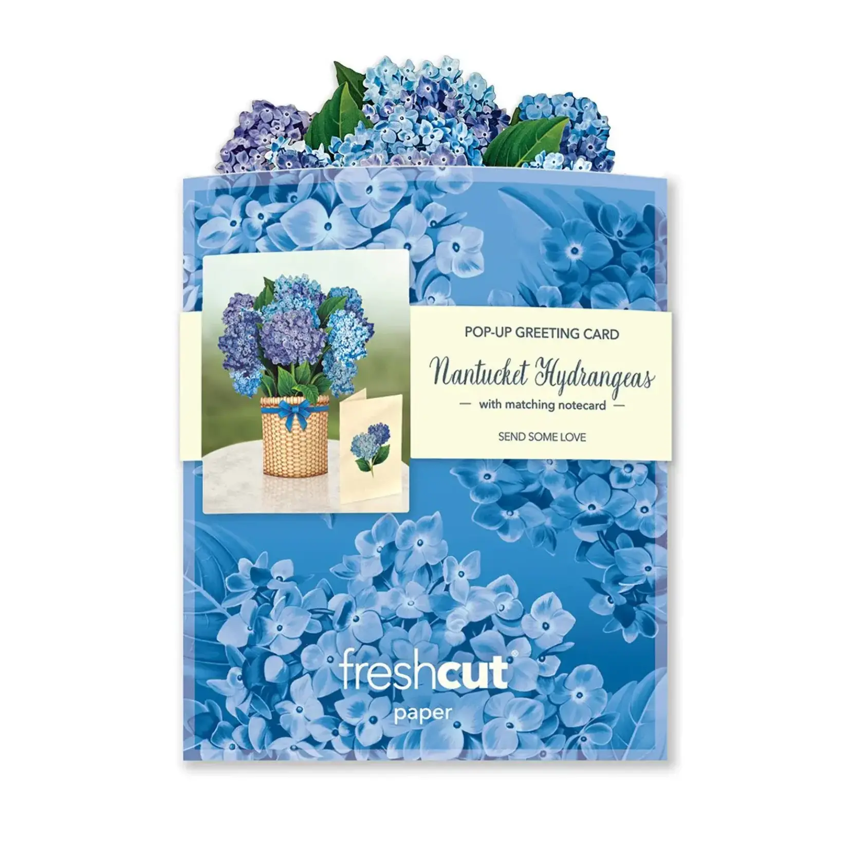 Freshcut Paper Mini Nantucket Hydrangeas Pop Up Bouquet