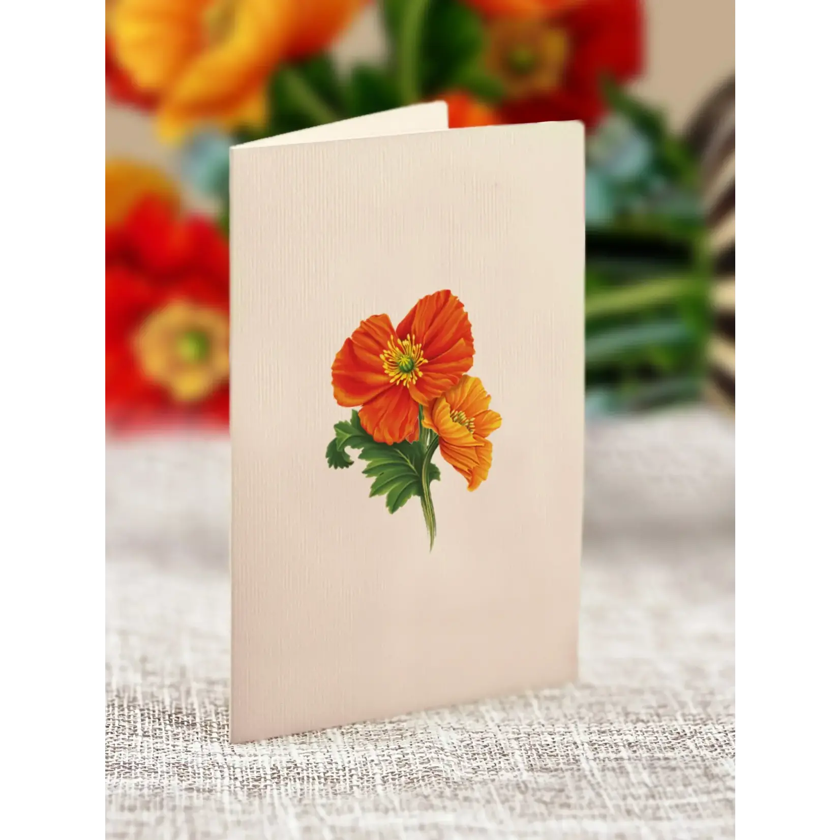 Freshcut Paper Mini French Poppies Pop Up Bouquet