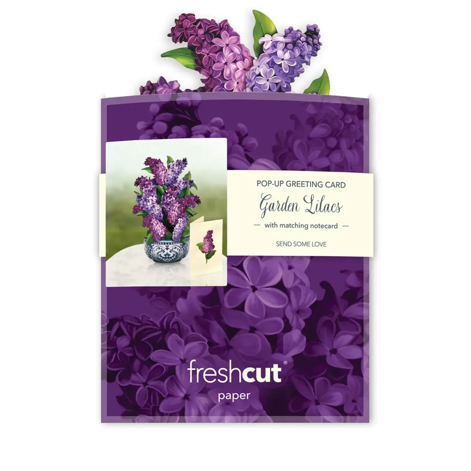 Freshcut Paper Mini Garden Lilacs Pop Up Bouquet