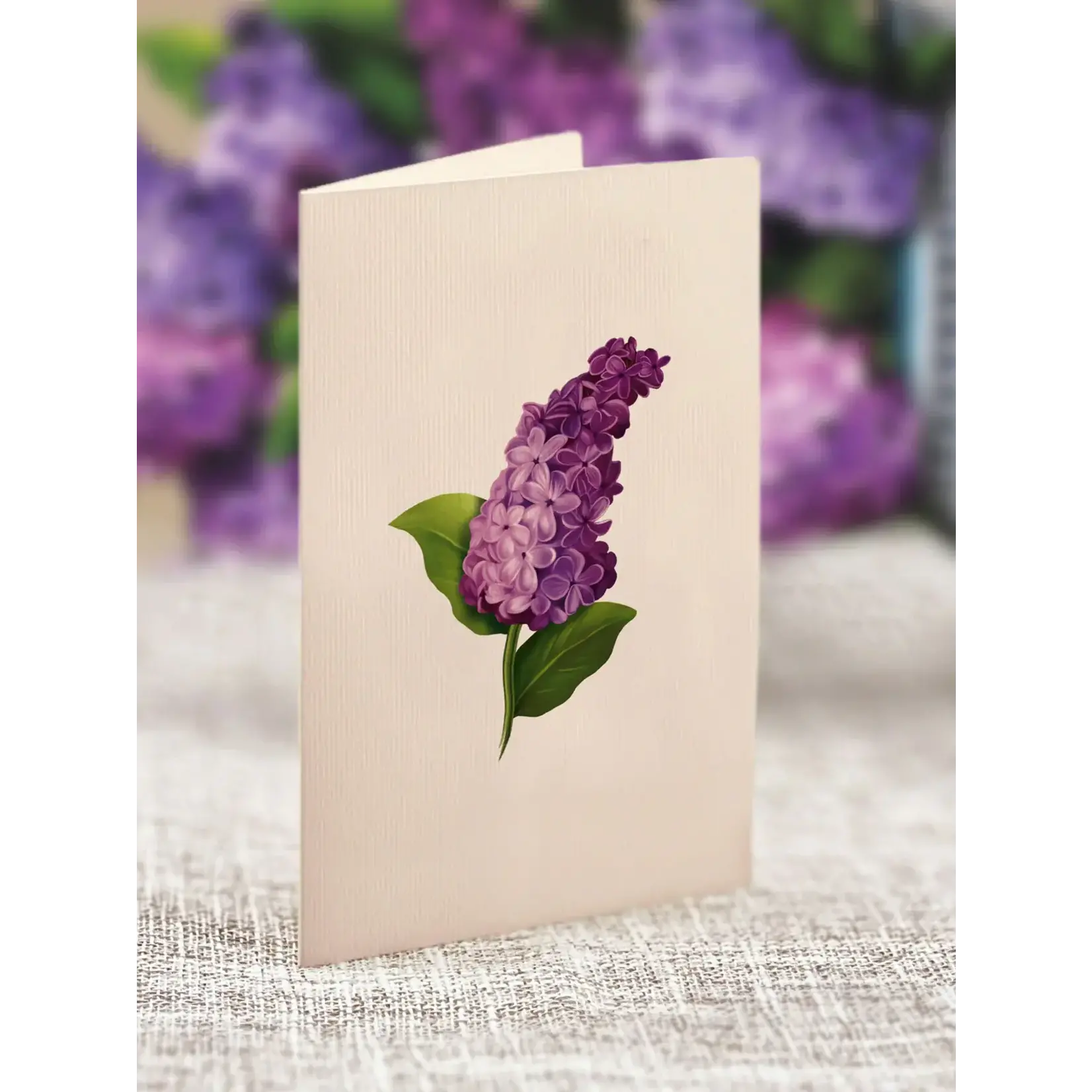 Freshcut Paper Mini Garden Lilacs Pop Up Bouquet