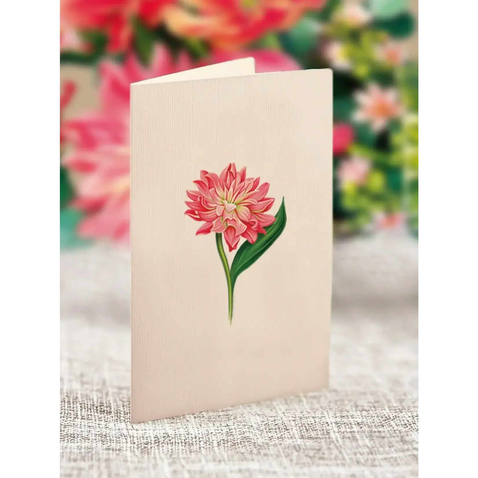 Freshcut Paper Mini Dear Dahlia Pop Up Bouquet