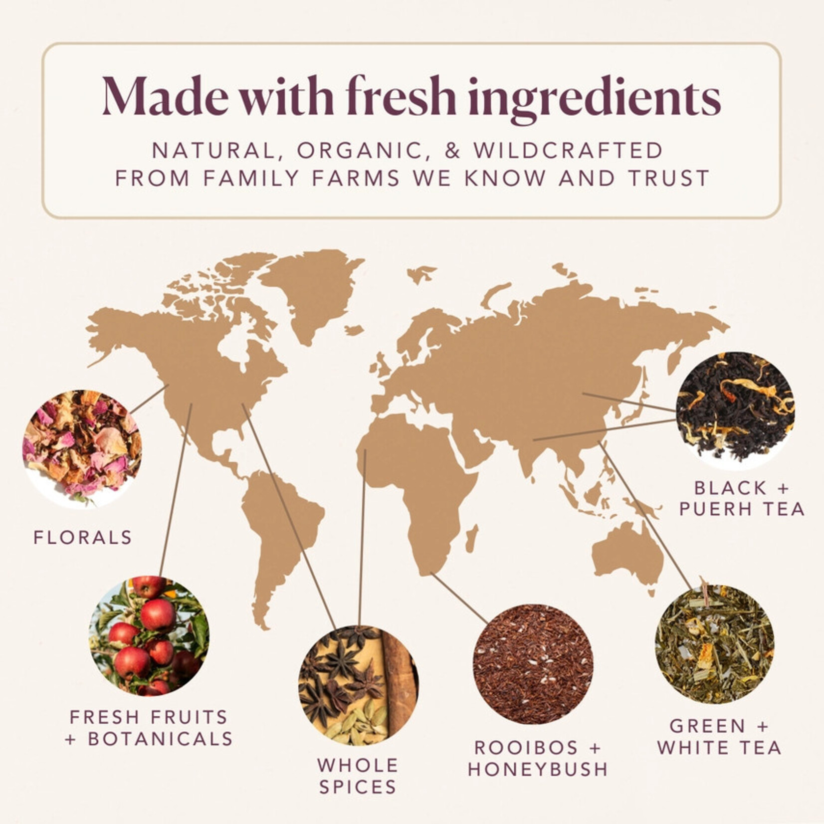 Plum Deluxe Tea Buttery Shortbread Herbal Tea