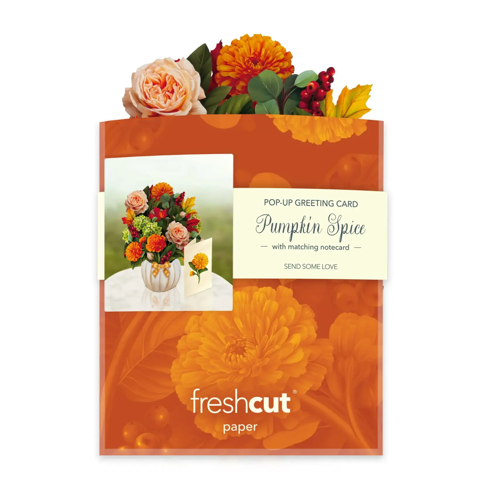 Freshcut Paper Mini Pumpkin Spice Pop Up  Bouquet