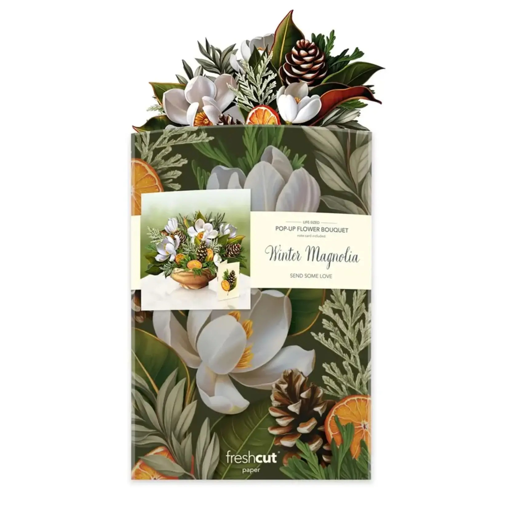 Freshcut Paper Winter Magnolia Pop Up Bouquet