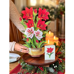 Freshcut Paper Scarlet Amaryllis Pop Up Bouquet