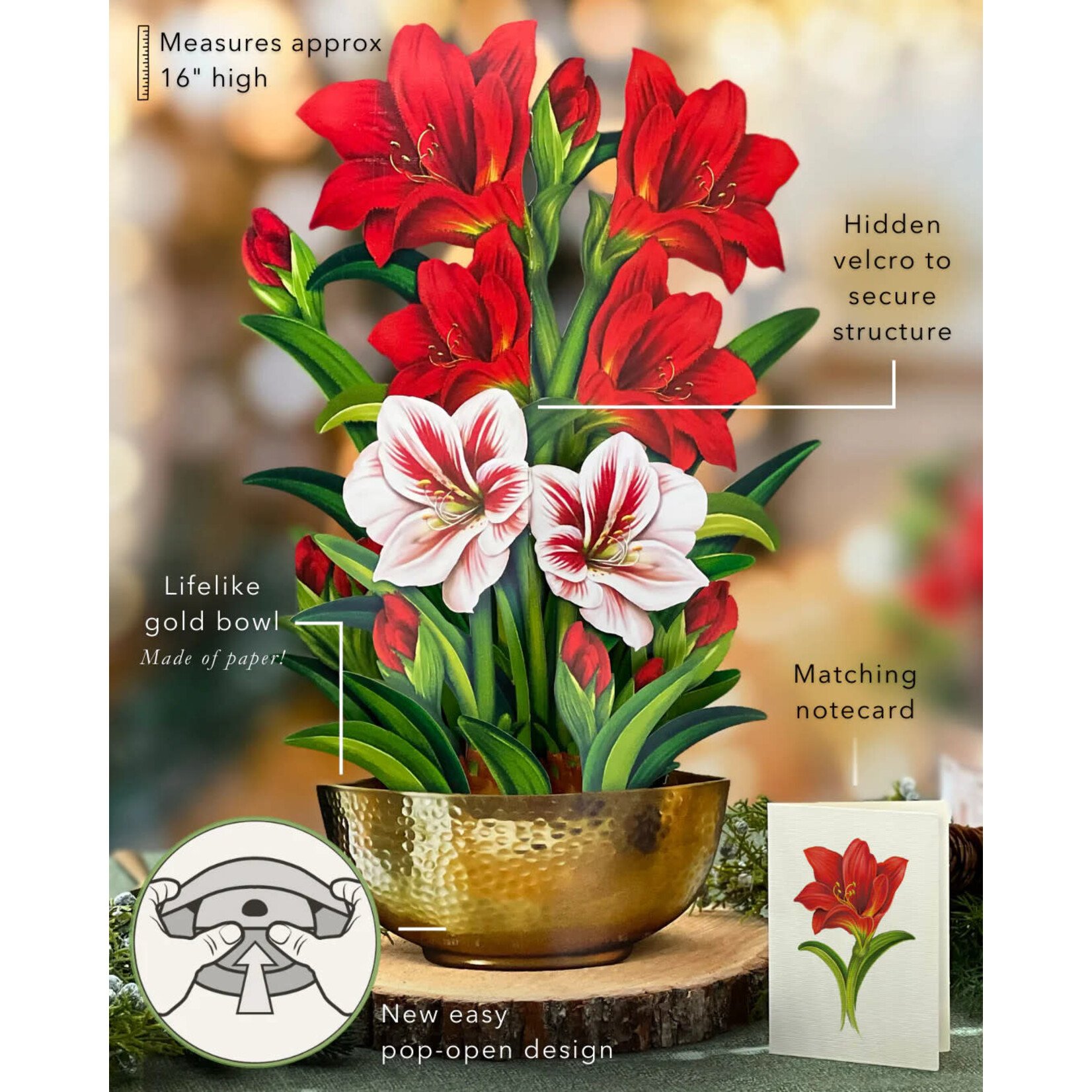 Freshcut Paper Scarlet Amaryllis Pop Up Bouquet