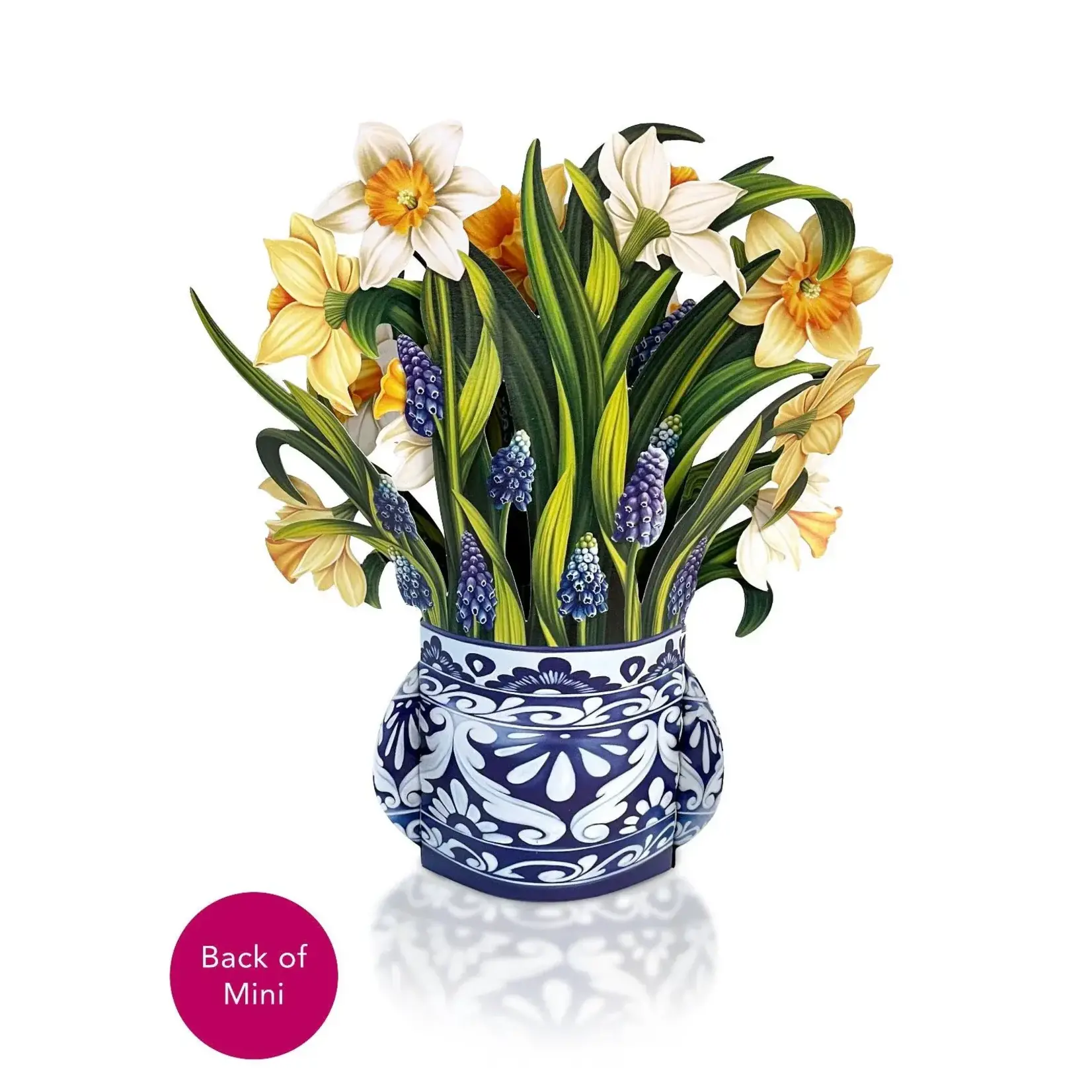 Freshcut Paper Mini English Daffodils Pop Up Bouquet