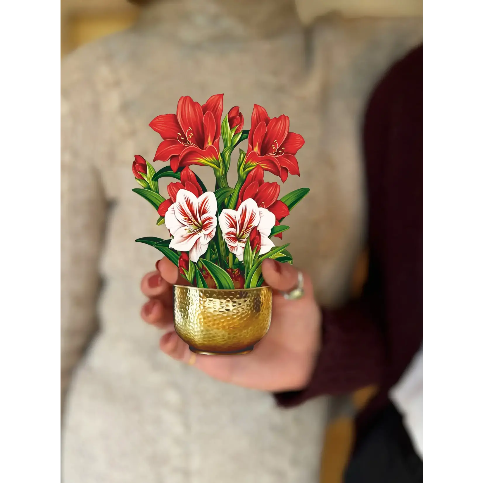 FreshCut Paper Mini Scarlet Amaryllis Pop Up Bouquet