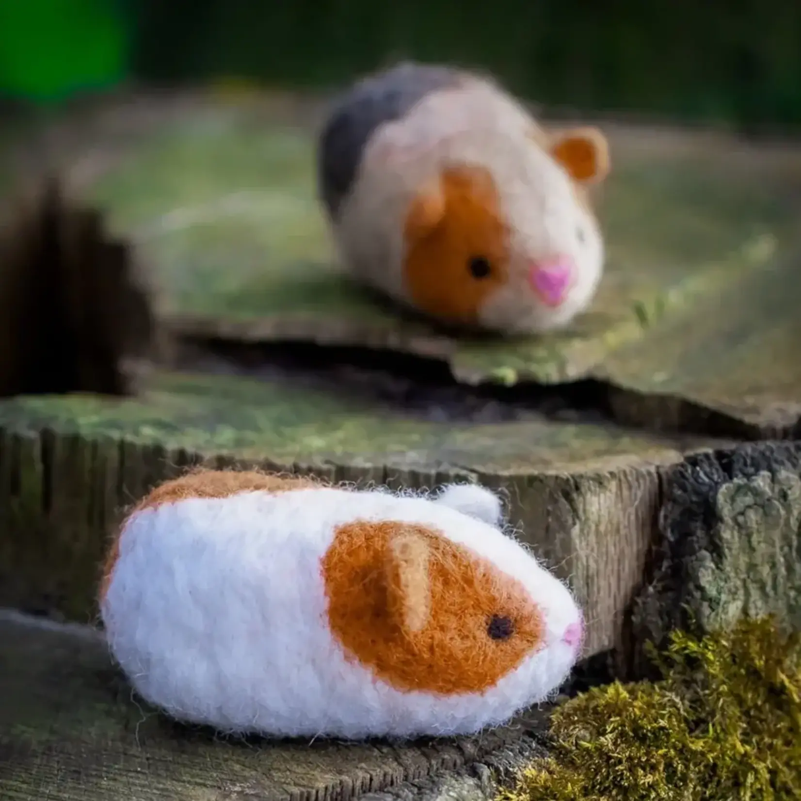 Benzie Design Guinea Pigs Felting Kit