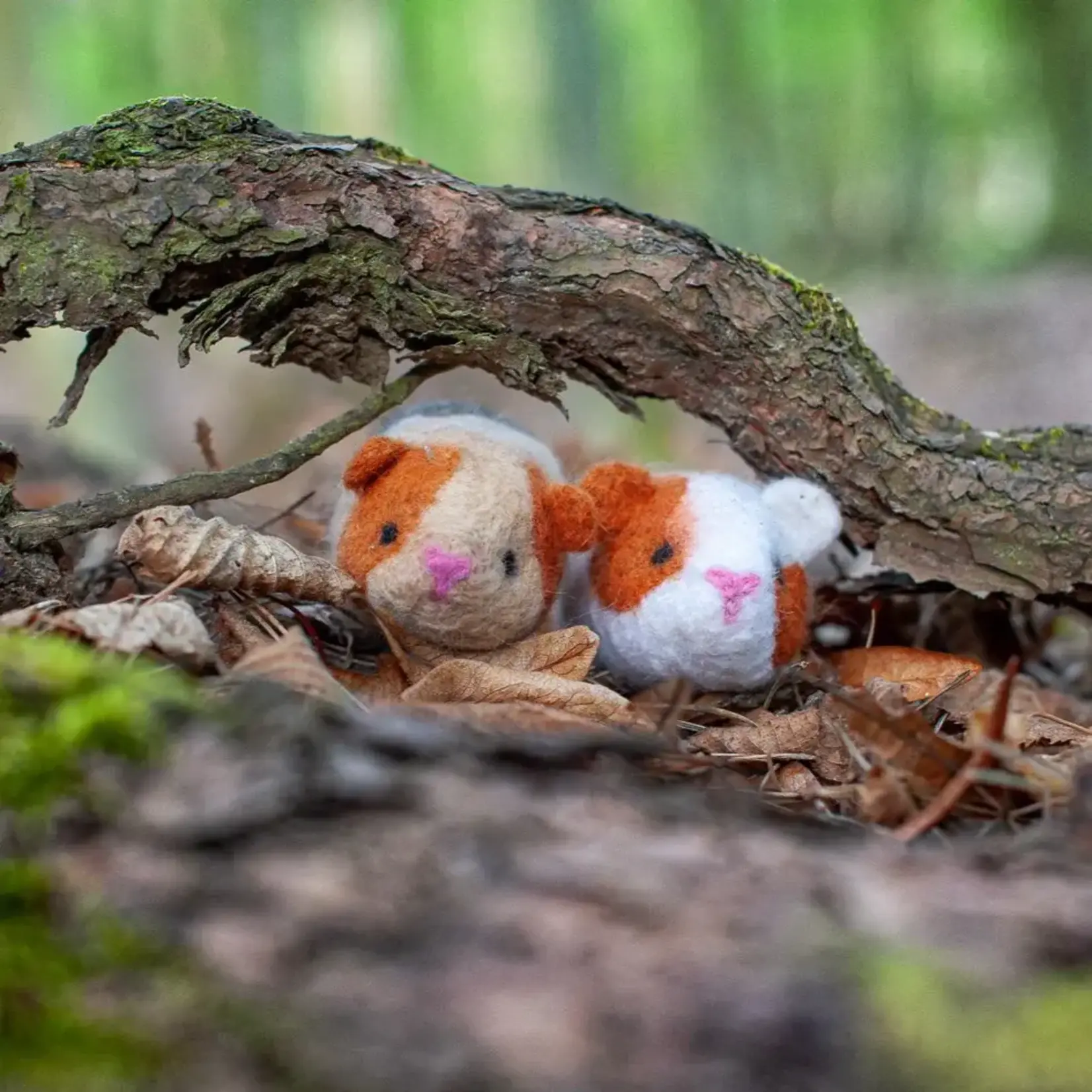 Benzie Design Guinea Pigs Felting Kit