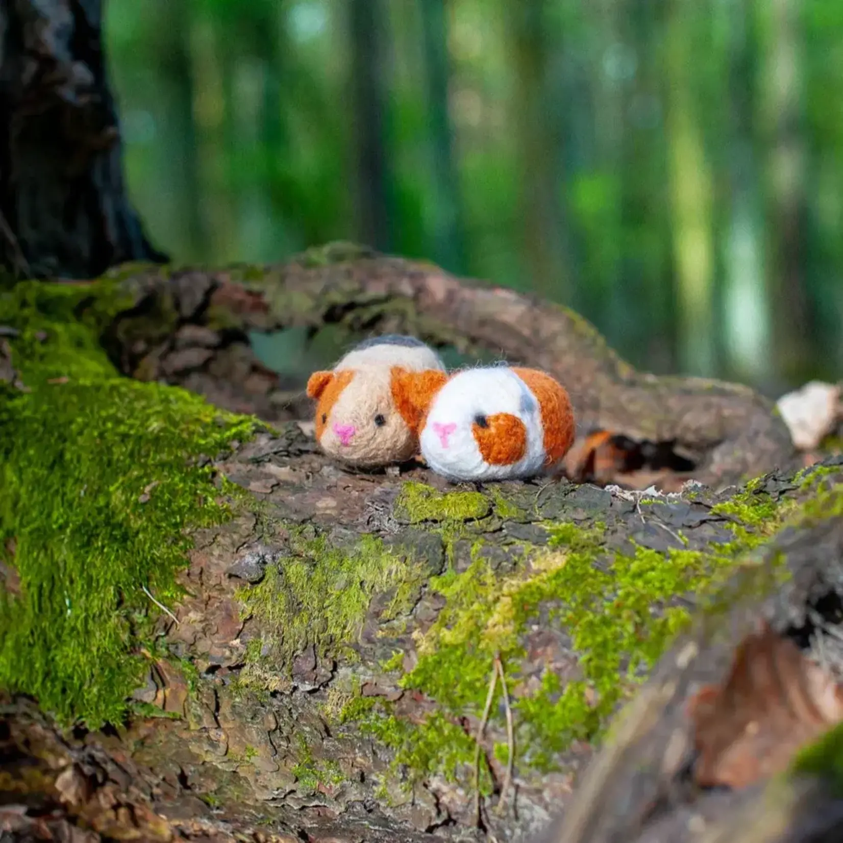 Benzie Design Guinea Pigs Felting Kit