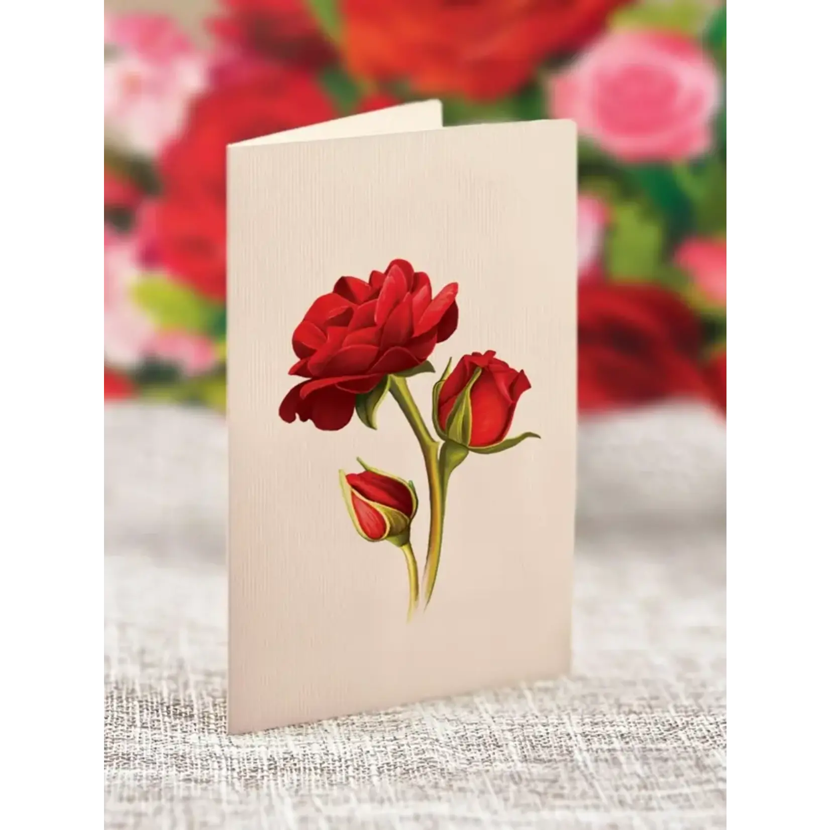 FreshCut Paper Blooming Roses Pop Up Bouquet