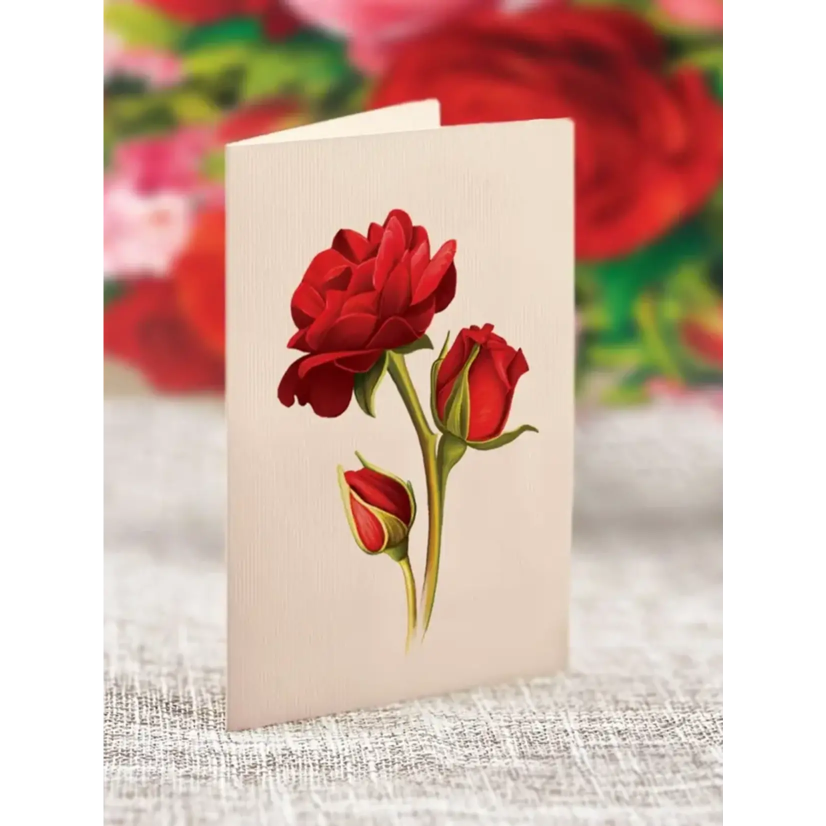 FreshCut Paper Mini Blooming Roses Pop Up Bouquet