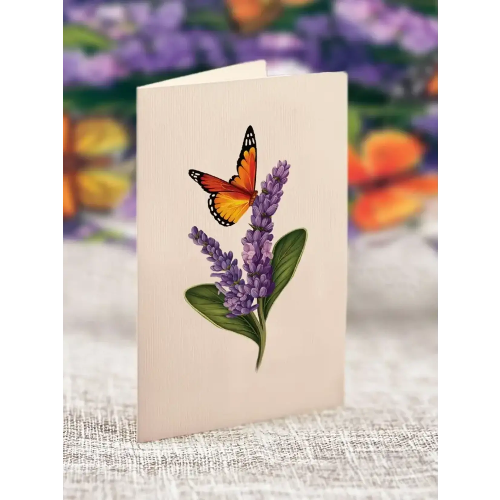 FreshCut Paper Mini Lavender & Butterflies Pop Up Bouquet