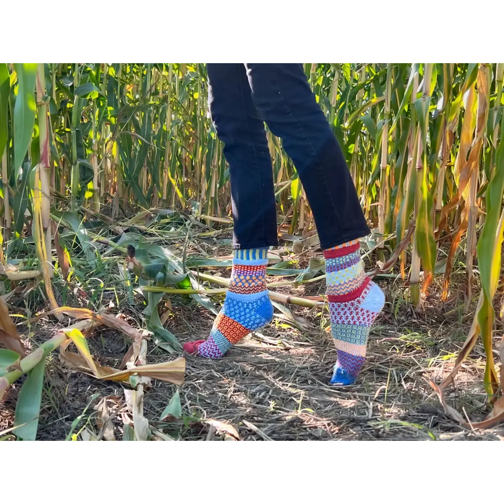 Solmate Socks Fig Solmate Socks