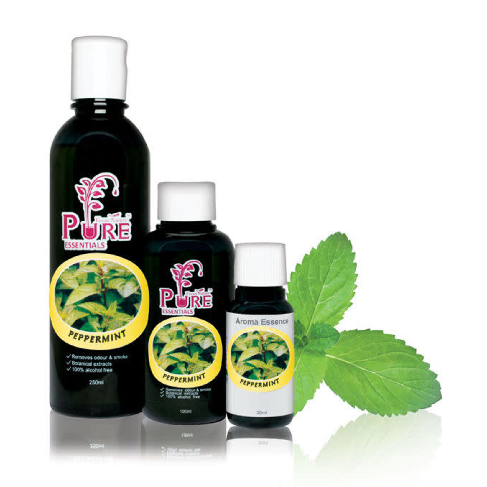 Pure from Nature Peppermint Aroma Essence