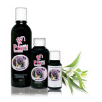 Pure from Nature Eucalyptus Aroma Essence
