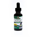 Nature's Answer Eyebright Alcohol Free Extract (1oz) Nature's Answer
