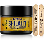 Shilajit 800mg (30g) Guindila
