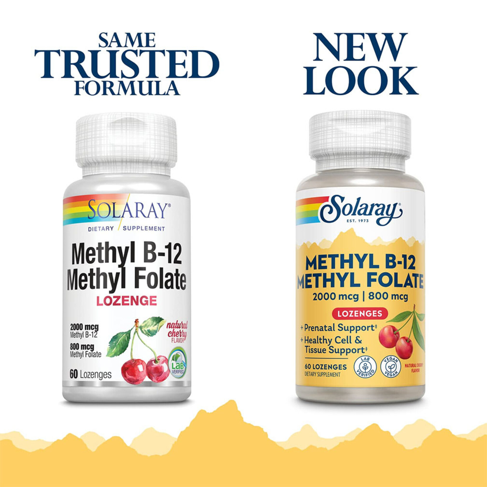 Solaray Methyl B-12 & Methyl Folate (60chew) Solaray