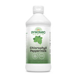 Dynamic Health Chlorophyll Peppermint (16oz) Dynamic Health