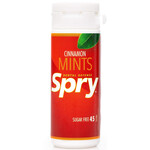 Spry Cinnamon Mints (45mints) Spry