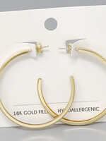 Gold Hoops