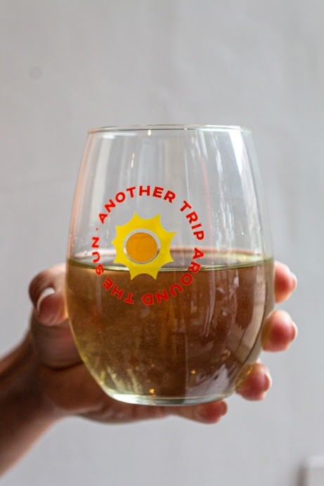 Love, Charlie Merch Another Trip Around the Sun Wine Glass